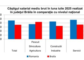 Câştigul salarial mediu brut în luna iulie 2025 realizat în judeţul Brăila