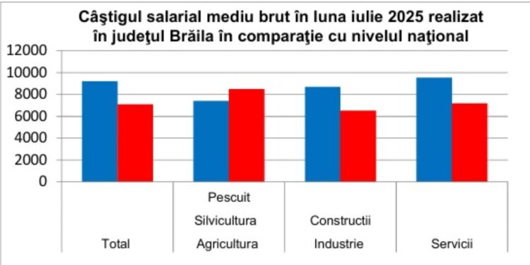Câştigul salarial mediu brut în luna iulie 2025 realizat în judeţul Brăila