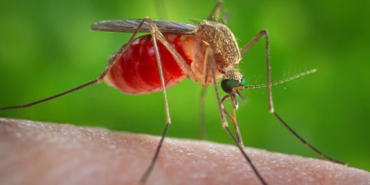 West nile