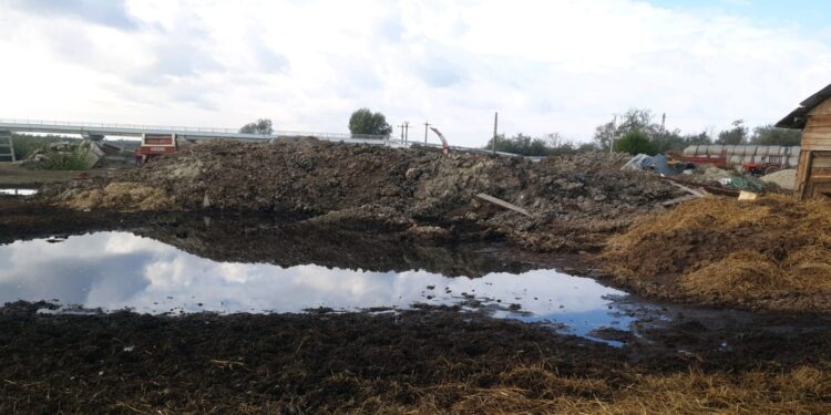 Proprietarul unei ferme zootehnice din comuna brăileană Vişani a fost amendat cu 26.000 de lei de comisarii Gărzii Naţionale de Mediu - Comisariatul Judeţean Brăila