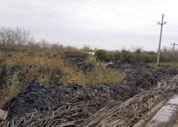 Fermier din comuna Jirlău amendat de Garda de Mediu