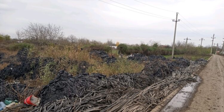 Fermier din comuna Jirlău amendat de Garda de Mediu