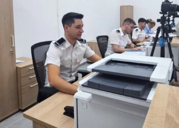 Contingentul pentru angajarea străinilor, utilizat în proporție de peste 80%