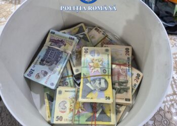 Percheziții într-un dosar de evaziune fiscală și spălare de bani în legătură cu achiziții de flori din Olanda comercializate apoi și în Brăila
