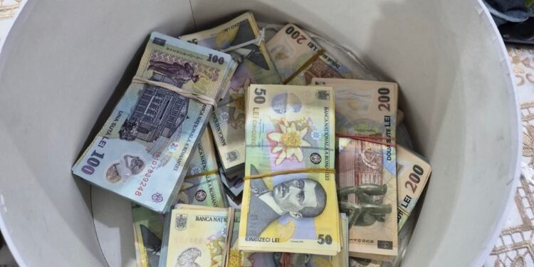 Percheziții într-un dosar de evaziune fiscală și spălare de bani în legătură cu achiziții de flori din Olanda comercializate apoi și în Brăila