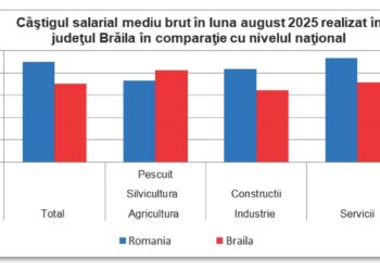 Câștigul salarial mediu nominal brut realizat în județul Brăila în luna august 2025