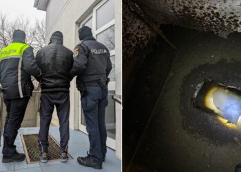 Arest la domiciliu pentru uciderea unui câine