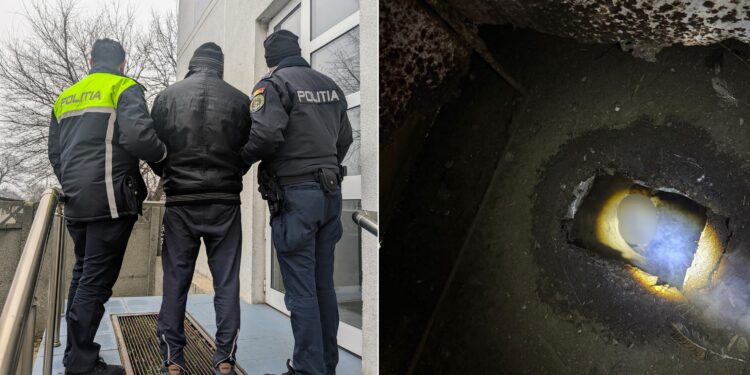 Arest la domiciliu pentru uciderea unui câine
