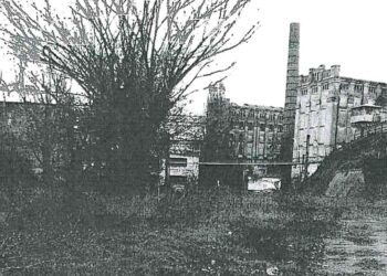 CLM și-a dat acordul ca Primăria Brăila să achiziționeze două terenuri ce aparțin Demopan SA