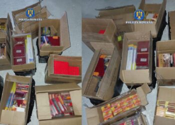 ACTIVITĂȚI ÎN CADRUL PLANULUI DE ACȚIUNE "PIROTEHNIC"