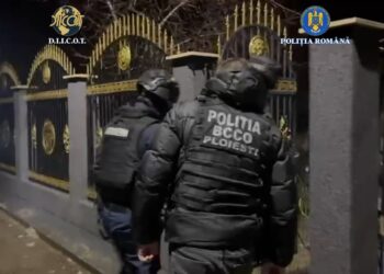 Acțiune într-o cauză de constituirea unui grup infracțional organizat și proxenetism