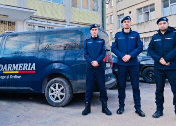 Stagiul de practică – o experiență care transformă vocația în profesie