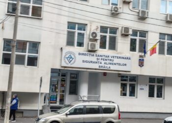 DSV Braila