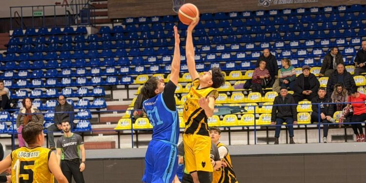 Cuza Pirates Brăila - CSU Brașov 74-112