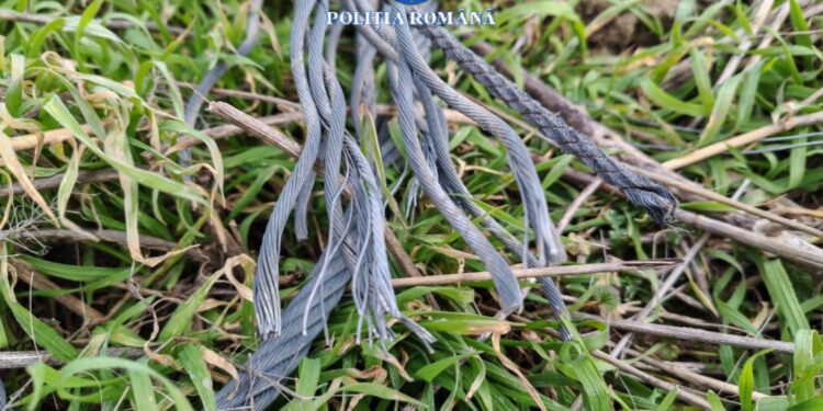 Arestați preventiv pentru furt calificat și distrugere