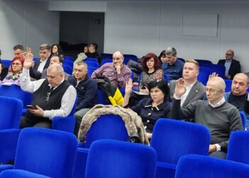 Se reia licitația pentru lotul 2 de arbori tăiați de pe aliniamentul unor drumuri județene