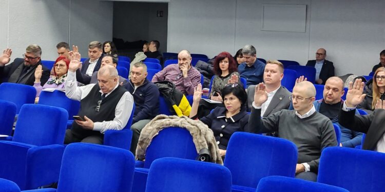 Se reia licitația pentru lotul 2 de arbori tăiați de pe aliniamentul unor drumuri județene
