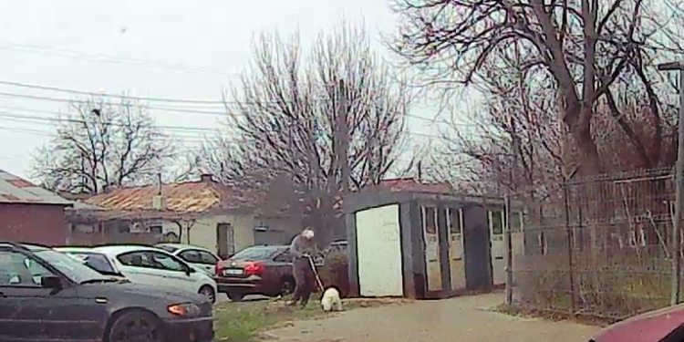 33 de sancțiuni aplicate de Poliția Locală în primele zile din luna martie