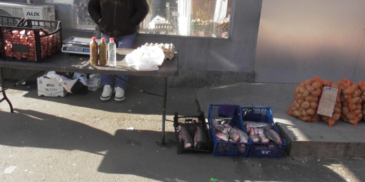 Comercializa pește fără documente