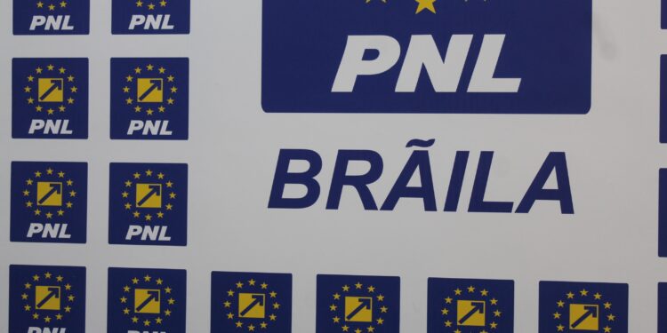 PNL cheamă PSD la un comportament rațional