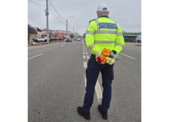 O floare pentru participantele la trafic