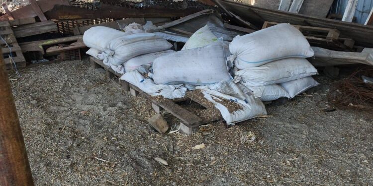 Operator economic amendat cu 70.000 de lei de Garda de Mediu Brăila