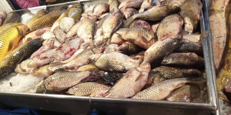 Controale ale Gărzii de Mediu în magazinele specializate de comercializare a peștelui și piețele agroalimentare