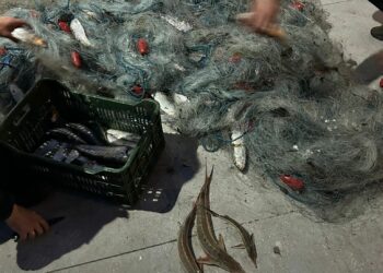 dosar penal întocmit sub aspectul săvârșirii infracțiunilor prevăzute de Legea 176/2024 privind pescuitul și protecția resursei acvatice vii