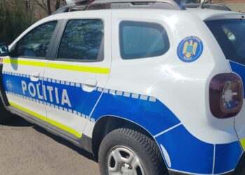 Depistați la volan pe drumurile publice deși nu dețineau permise de conducere
