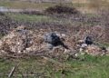 Depozitări necontrolate de deșeuri pe malul râului Buzău, pe raza comunei Vișani