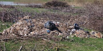 Depozitări necontrolate de deșeuri pe malul râului Buzău, pe raza comunei Vișani