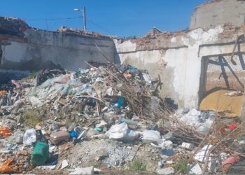 Amendă de 50 de mii de lei pentru proprietarul terenului de pe strada Vasile Cîrlova, la intersecția cu strada Grivița