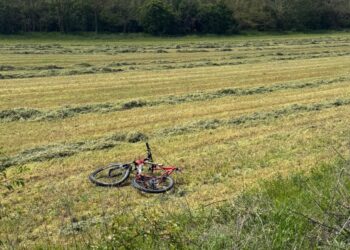 Biciclist accidentat mortal pe DJ 251B, pe raza localității Cerțești, județul Galați