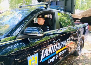 Intervenții ale jandarmilor brăileni la sesizările cetățenilor