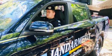 Intervenții ale jandarmilor brăileni la sesizările cetățenilor