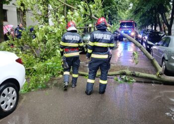 Intervenții ale pompierilor brăileni în urma precipitațiilor căzute și a intensificărilor vântului de vineri, 22 mai