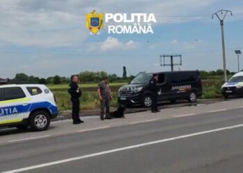 Acțiune pentru verificarea legalității transportului rutier de persoane