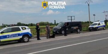 Acțiune pentru verificarea legalității transportului rutier de persoane