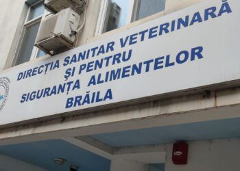 Prefectul cere suspendarea raporturilor de serviciu ale funcționarilor publici de la DSVSA Brăila acuzați de corupție