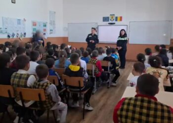 Școala Profesională „Anastase Simu” Cireșu