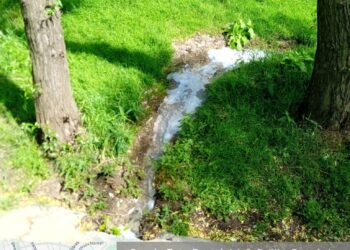 Restaurant din Brăila amendat de Garda de Mediu cu 60.000 de lei după ce a deversat ape uzate direct în Dunăre