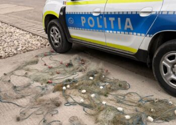 Braconaj piscicol pe râul Siret, în zona localității Corbu Vechi