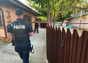 Două mandate de percheziție domiciliară, în comuna Tichilești, județul Brăila