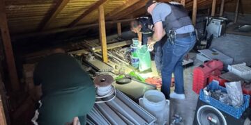 Cinci percheziții domiciliare în Galați și Brăila într-un dosar de furt calificat, în cadrul operațiunii ”JUPITER”