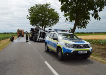 O mașină a operatorului de salubritate din județul Brăila s-a răsturnată pe DJ 221C, drumul de legătură dintre DN 23 și localitatea Siliștea