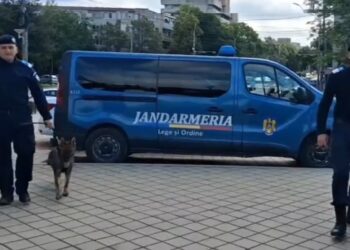 IZ și ZOOR sunt cei mai noi membri ai echipei Jandarmeriei Brăila