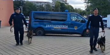 IZ și ZOOR sunt cei mai noi membri ai echipei Jandarmeriei Brăila