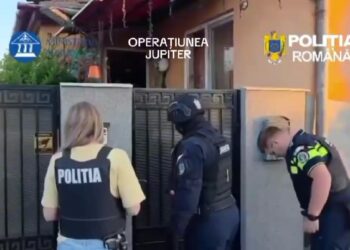 113 percheziții domiciliare în domeniul fabricării și comercializării de instrumente muzicale