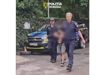Bărbat din comuna Bărbulești, județul Ialomița, cercetat pentru săvârșirea infracțiunii de uciderea animalelor, cu intenție