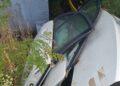 Dezmembrări auto ilegale: Amenzi de 10.000 de lei și activitate suspendată în urma unui control Garda de Mediu – IPJ Brăila